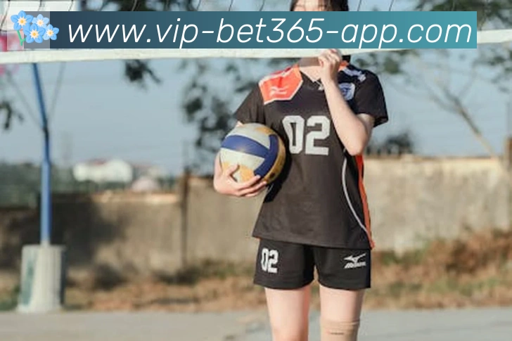 bet365在线体育APP 封面图